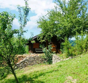 Cabana in Bucovina Câmpulung Moldovenesc